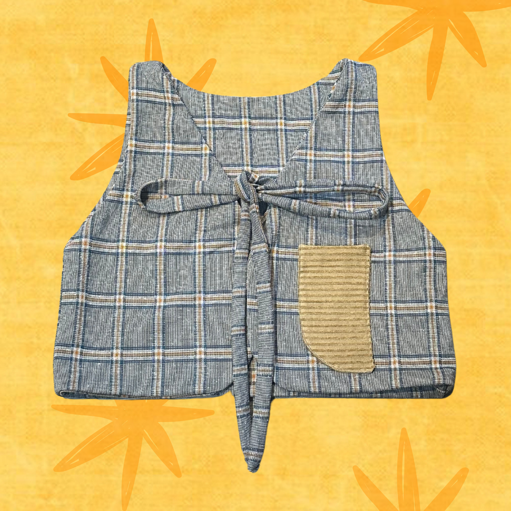 Fixie Vest - Blue Gingham